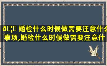 🦋 婚检什么时候做需要注意什么事项,婚检什么时候做需要注意什么事项和细节